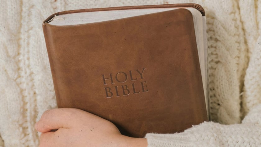 Pessoa de suéter de tricô branco segura uma Bíblia marrom junto ao peito: "HOLY BIBLE".