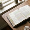 Plano de leitura bíblica de 7 dias: como alcançar a paz de Deus
