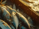 O milagre da multiplicação dos pães e peixes: lições de provisão e fé