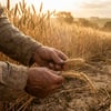 O que significa "o sábado foi feito por causa do homem"? Marcos 2:27 explicado
