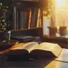 O que significa ter “nascido de novo"? 