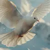 O que é o Espírito Santo e qual é o seu papel na vida cristã?