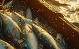O milagre da multiplicação dos pães e peixes: lições de provisão e fé