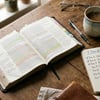 Plano de leitura bíblica de 7 dias: como alcançar a paz de Deus