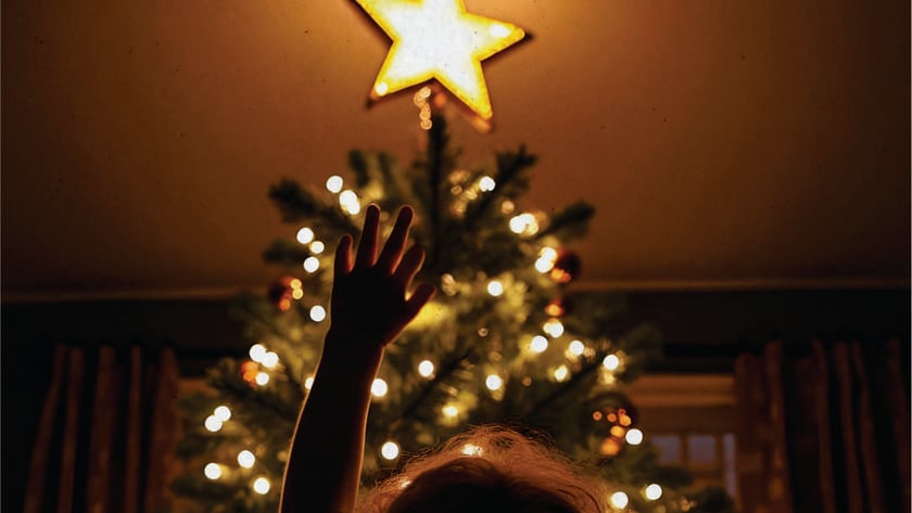 Criança de costas estica a mão em direção à estrela de uma árvore de Natal.