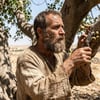 Quem foi o profeta Amós? O significado de cultivador de sicômoros