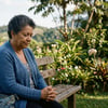 Oração por clareza espiritual, discernimento dos frutos do perdão e confirmação da paz