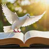 5 versículos sobre paz e consolo (Filipenses 4:6-7)