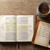 Plano de leitura bíblica de 7 dias: domínio próprio