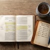 Plano de leitura bíblica de 7 dias: domínio próprio
