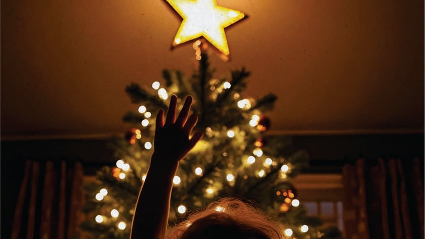 Criança de costas estica a mão em direção à estrela de uma árvore de Natal.
