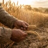 O que significa "o sábado foi feito por causa do homem"? Marcos 2:27 explicado