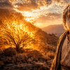 Quem foi Moisés na Bíblia e como Deus o escolheu? História e chamado de Deus