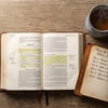 Plano de leitura bíblica de 7 dias: domínio próprio