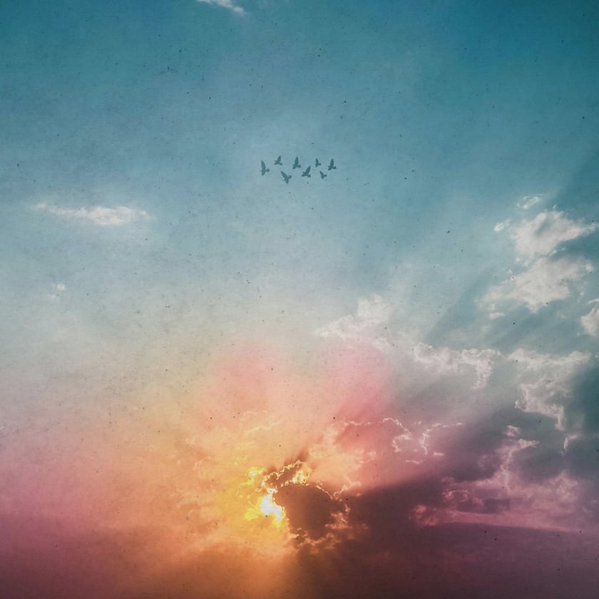 Bando de pássaros voa em céu azul com nuvens e sol alaranjado ao fundo.