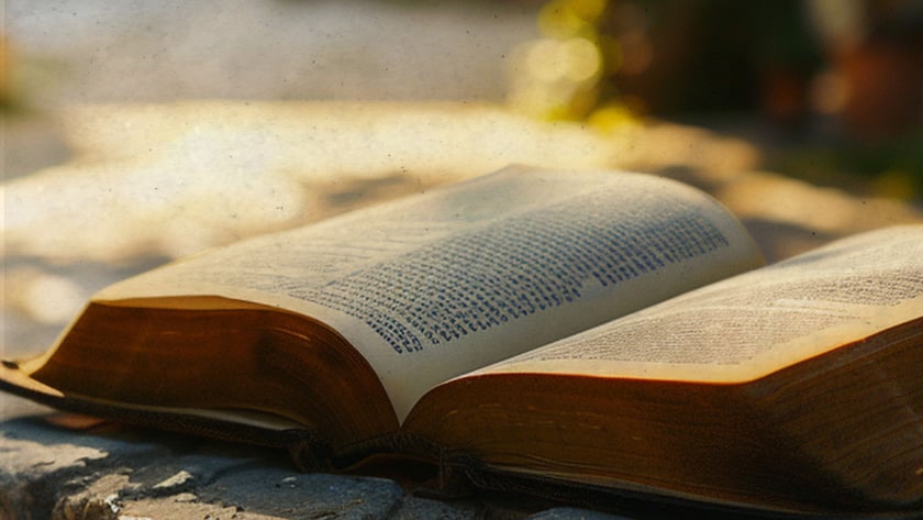 Livro grosso aberto sobre uma superfície de pedra, ao ar livre, sob árvores.