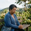 Oração por clareza espiritual, discernimento dos frutos do perdão e confirmação da paz