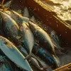 O milagre da multiplicação dos pães e peixes: lições de provisão e fé