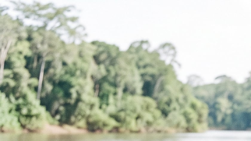 Menina de tranças estende a mão a um passarinho azul na margem de um rio, perto de um cervo.