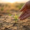 9 versículos bíblicos sobre restauração da alma, saúde e vida financeira