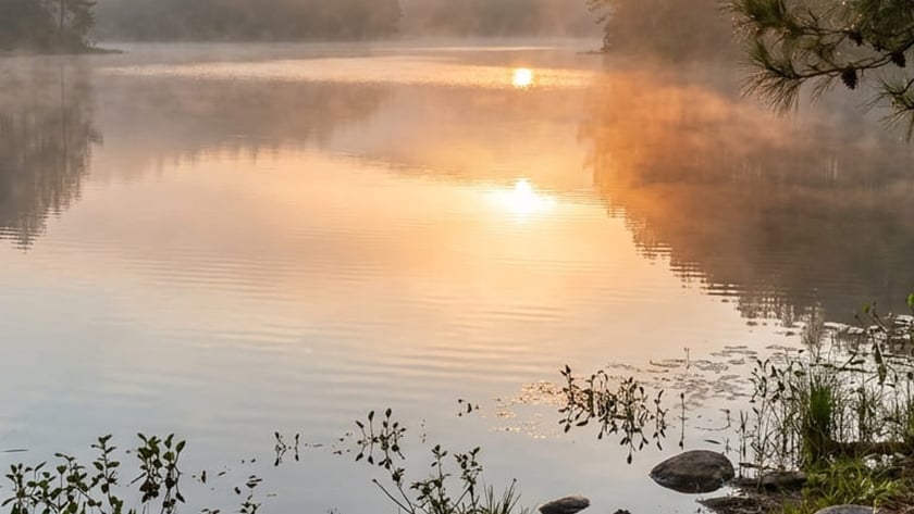 Lago com névoa ao nascer do sol, cercado por pinheiros e colinas.