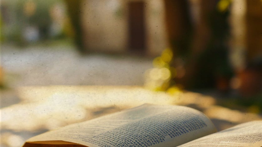 Livro grosso aberto sobre uma superfície de pedra, ao ar livre, sob árvores.